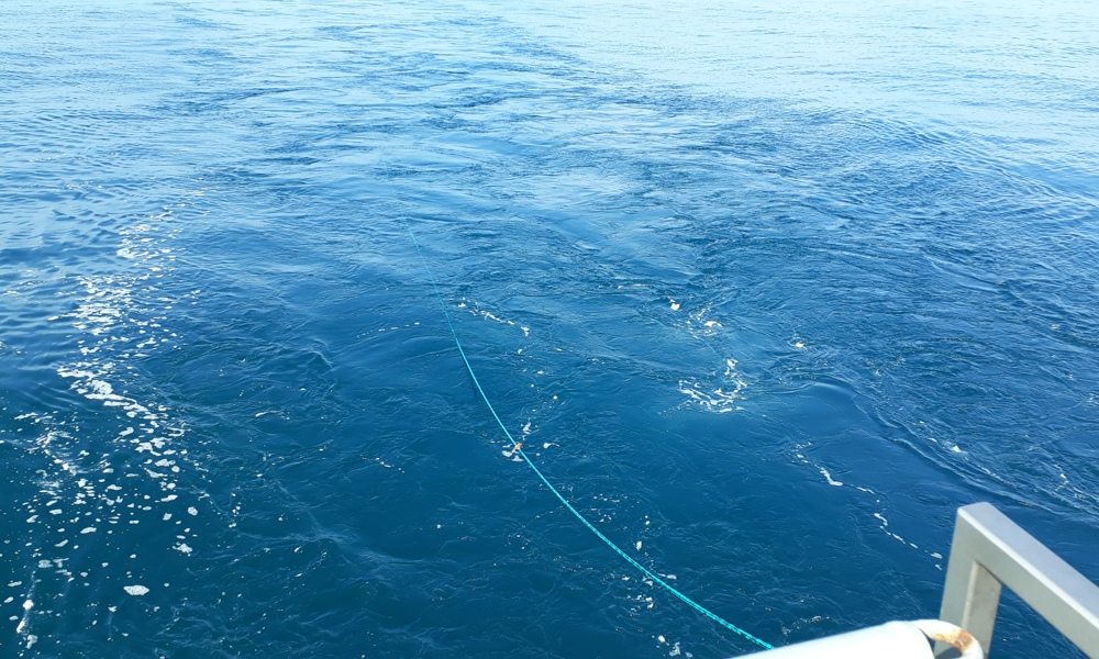 SEA Wins Innovation of the Year at MAKE UK Regional Awards