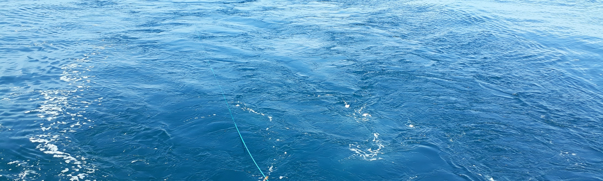 SEA Wins Innovation of the Year at MAKE UK Regional Awards