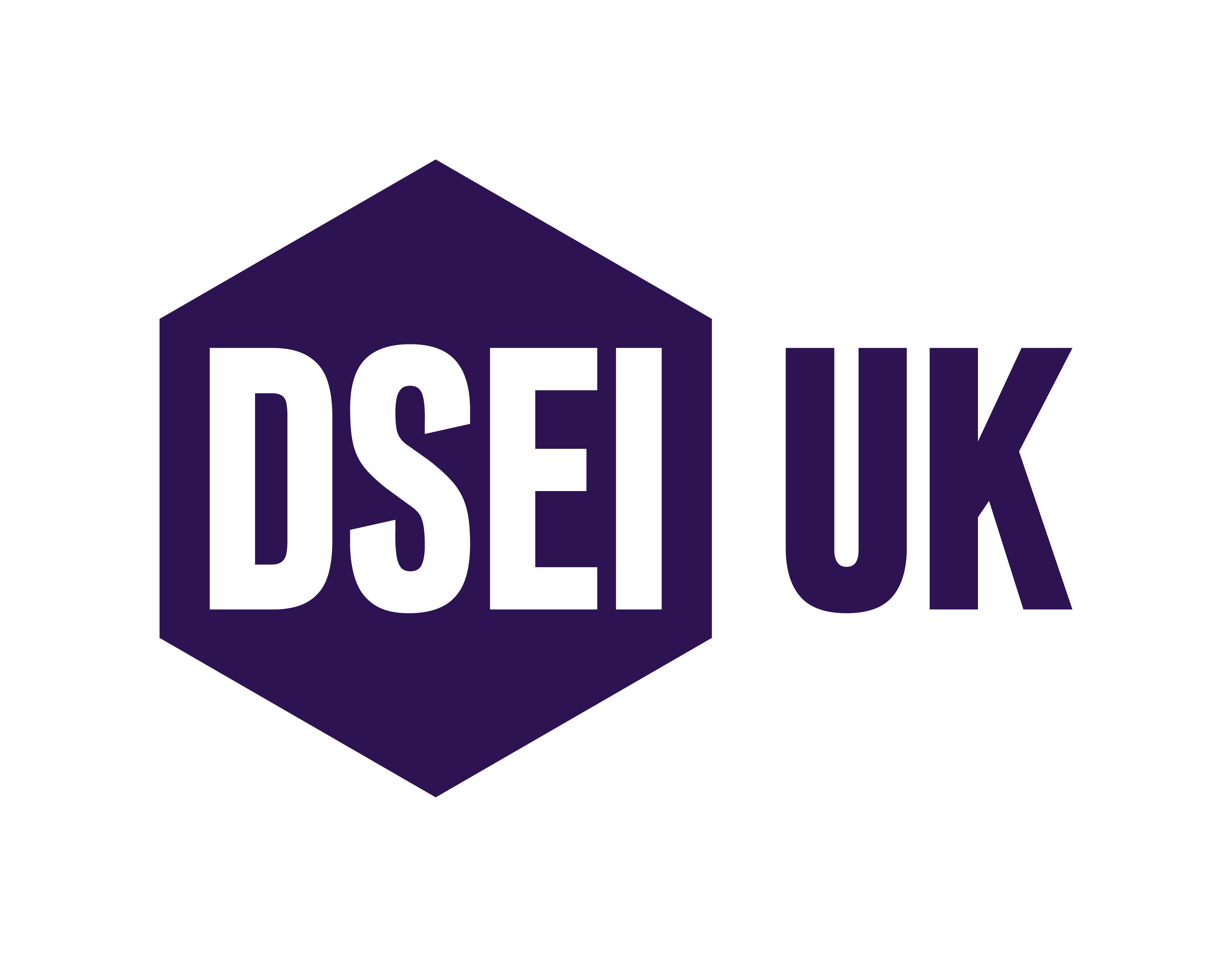 DSEI 2025