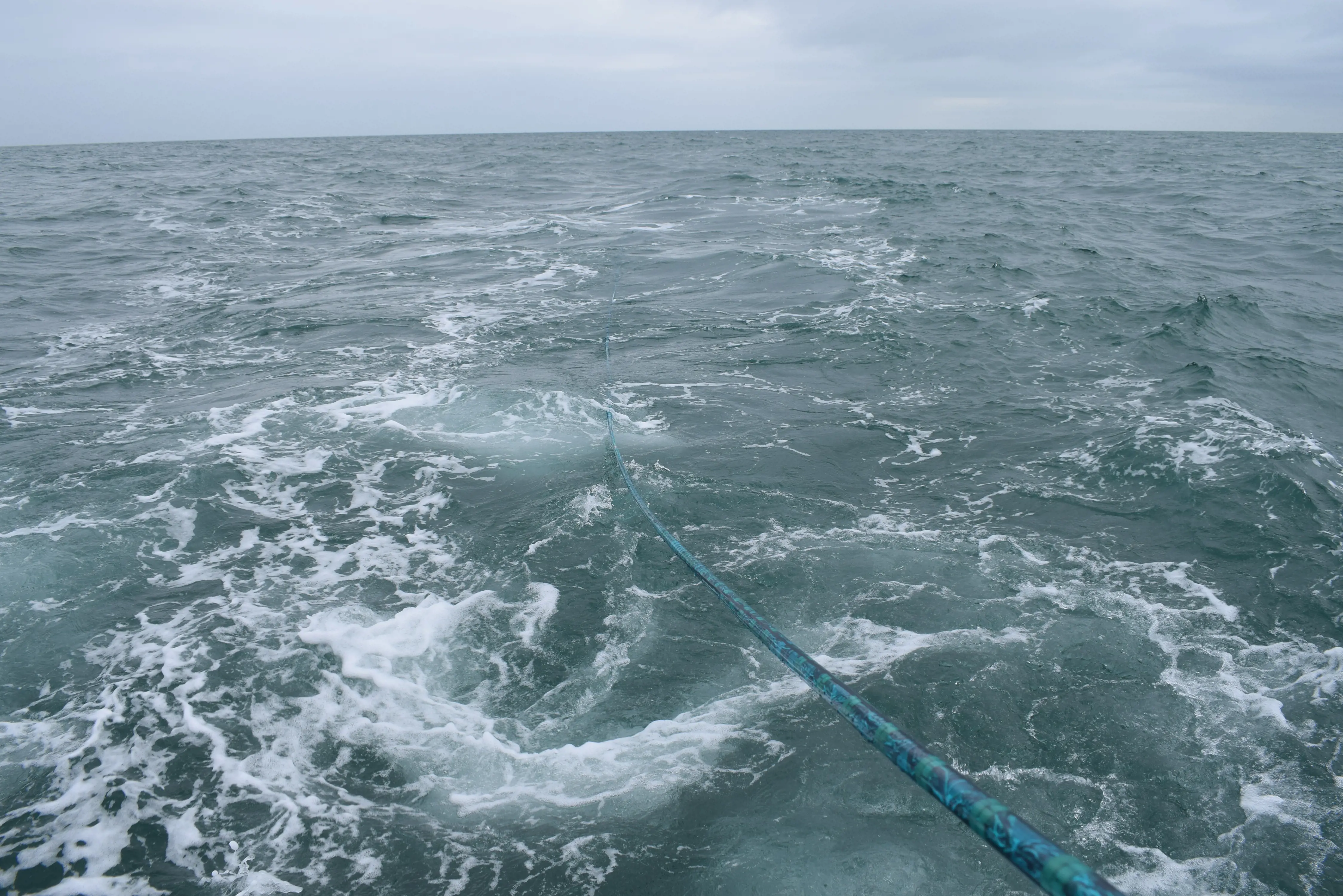 SEA Completes Successful Trials of KraitArray