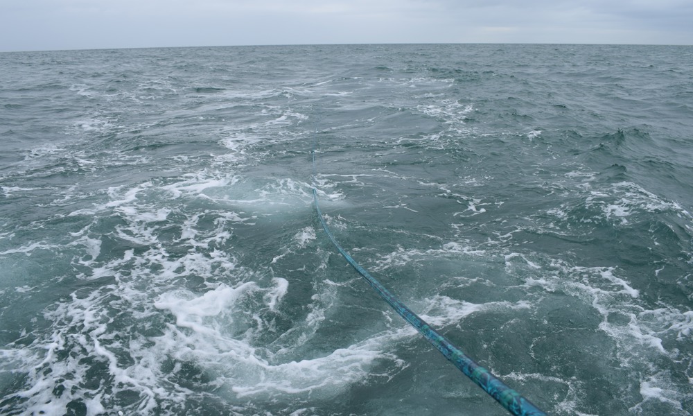 SEA Completes Successful Trials of KraitArray