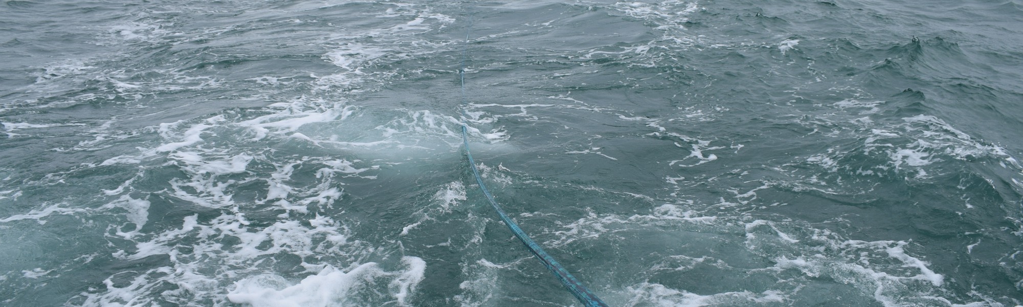 SEA Completes Successful Trials of KraitArray